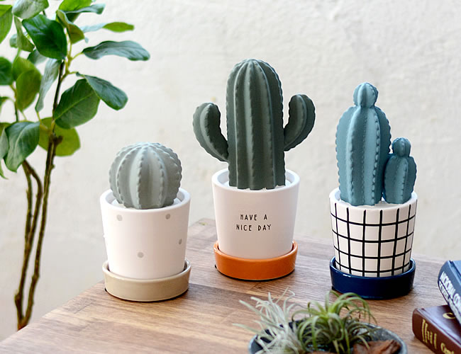 Cactus エコ加湿器 ゼネラルストア オルネ